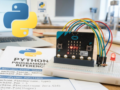 De micro:bit & Python