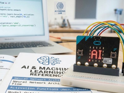 De micro:bit & AI